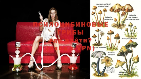 мдма Нея