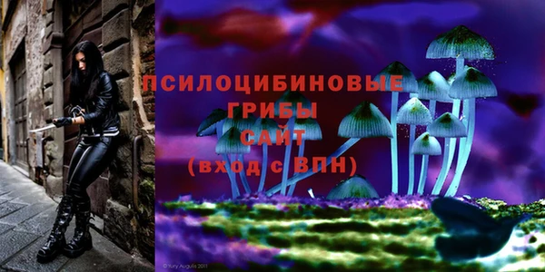 мяу мяу кристалл Нефтегорск